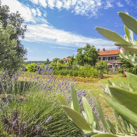 Apartment Istria *