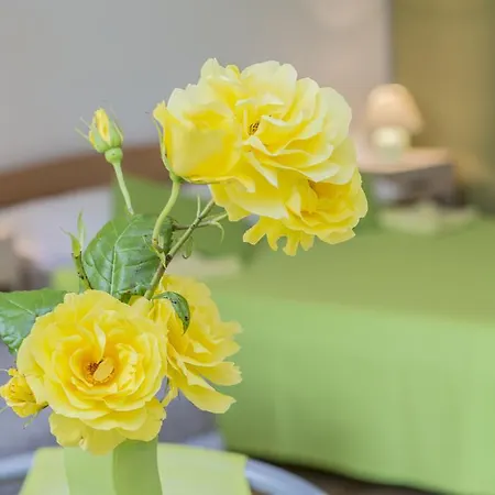 Apartmán Istria *